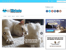 Tablet Screenshot of coolkittycondos.com